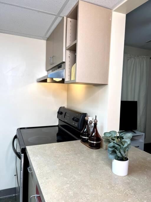 Midtown Flat Near Overton Park & Downtown ממפיס מראה חיצוני תמונה