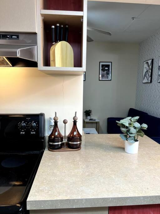Midtown Flat Near Overton Park & Downtown ממפיס מראה חיצוני תמונה